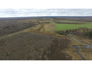 Property photo 5 - REAL ESTATE AUCTION - 1,428+/- ACRES OFFERED IN 10 TRACTS IN PRICE CO., WI